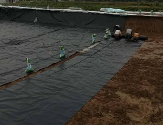 午夜神马福利膜材料选择几点建议