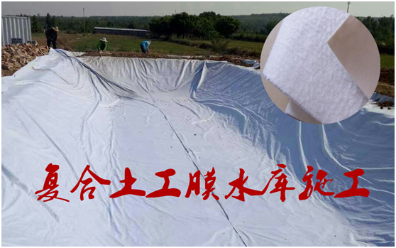 午夜神马福利膜在底板的作用不言而喻