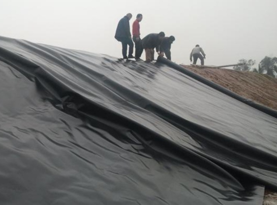 午夜神马福利膜在道路防渗施工中应用的核心焦点
