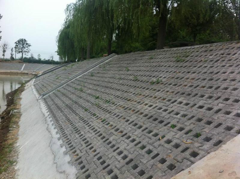 3种常见的坡式护岸技术分别是什么类型？