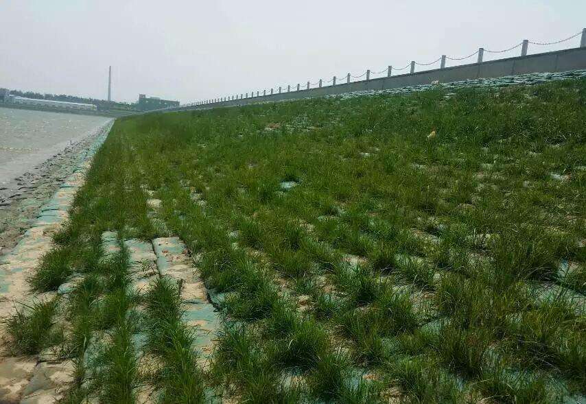 常用的海岛边坡修复技术有哪些？如何修复海岛边坡？